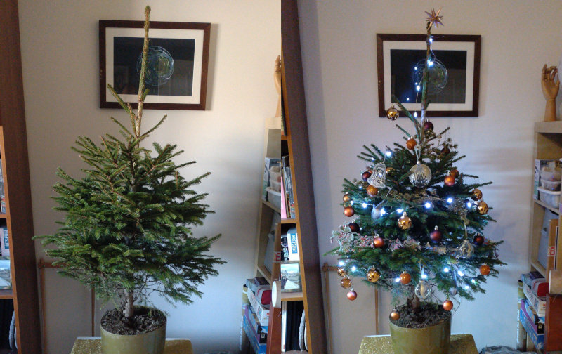 On the left a Nordic Pine; on the right the same tree covered in Christmas decorations